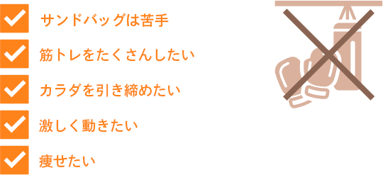 サンドバッグは苦手・筋トレをたくさんしたい・カラダを引き締めたい・激しく動きたい・痩せたい