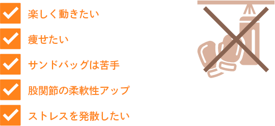楽しく動きたい・痩せたい・サンドバッグは苦手・股関節の柔軟性アップ・ストレスを発散したい