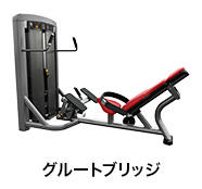 グルートブリッジ