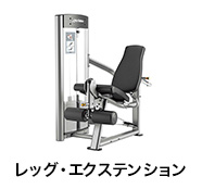 レッグ・エクステンション