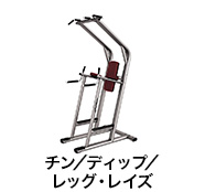 チン／ディップ／レッグ・レイズ