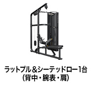 ラットプル＆シーテッドロー