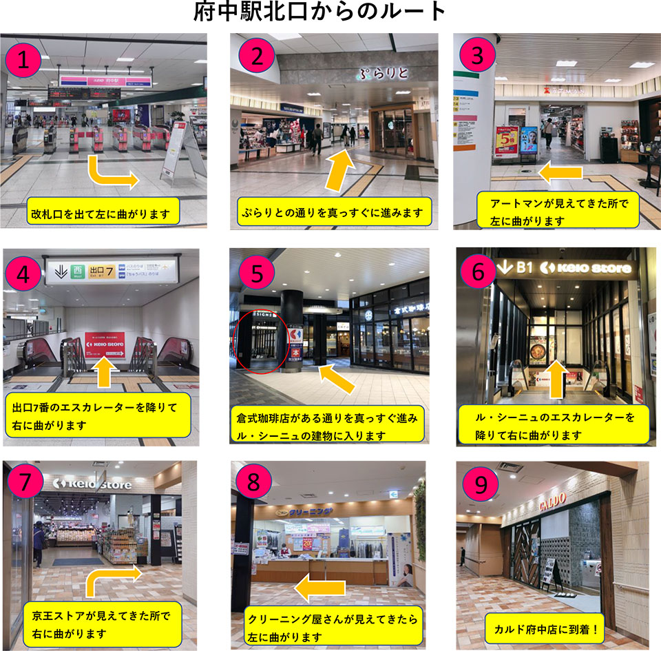 府中駅北口からのルート：改札口を出て左に曲がります→ぷらりとの通りを真っすぐに進みます→アートマンが見えてきた所で左に曲がります→出口7番のエスカレーターを降りて右に曲がります→倉敷珈琲店がある通りを真っ直ぐ進みル・シーニュの建物に入ります→ル・シーニュのエスカレーターを降りて右に曲がります→京王ストアが見えてきた所で右に曲がります→クリーニング屋さんが見えてきたら左に曲がります→カルド府中店に到着！