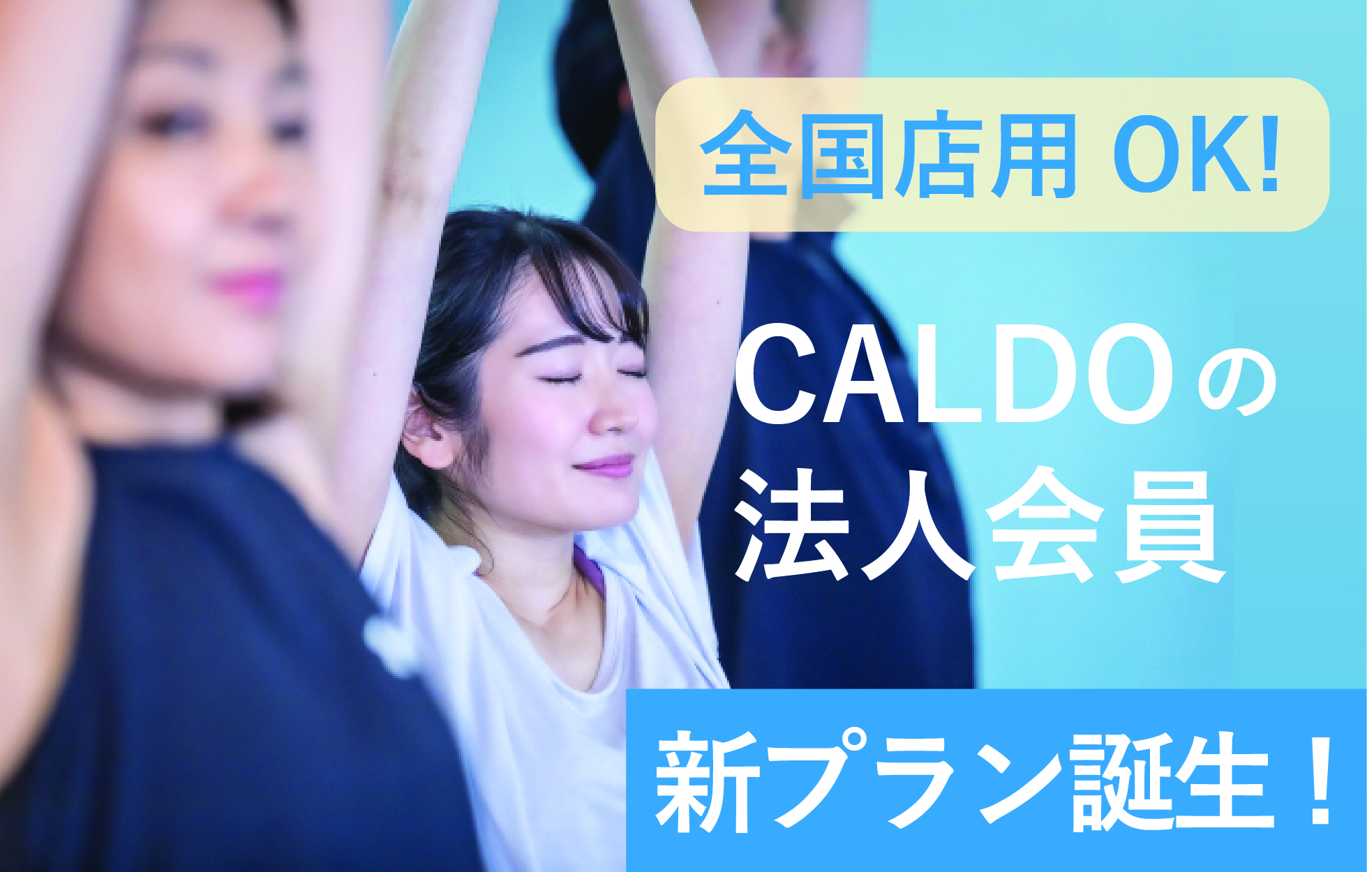 全国利用OK!CALDOの法人会員 新プラン誕生！