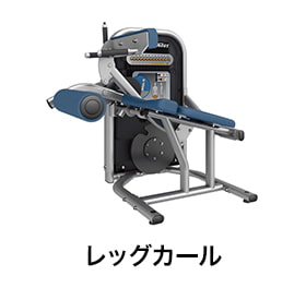 レッグカール