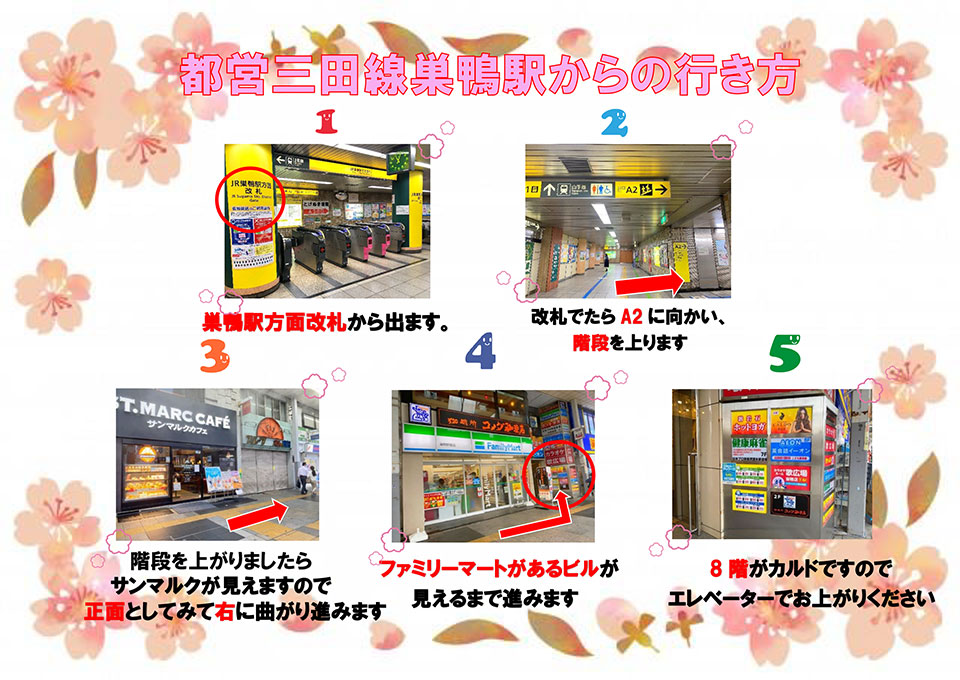 都営三田線巣鴨駅からの行き方：巣鴨駅方面改札から出ます→改札を出たらA2に向かい、階段を上ります→階段が見えましたらサンマルクが見えますので正面としてみて右に曲がり進みます→ファミリーマートがあるビルが見えるまで進みます→8階がカルドですのでエレベーターでお上がりください