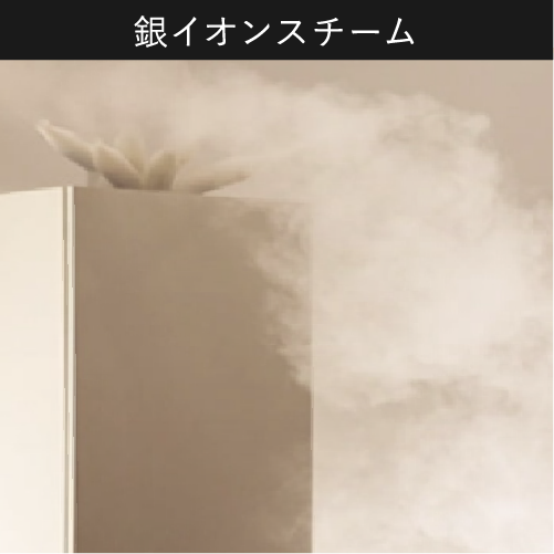 銀イオンスチーム